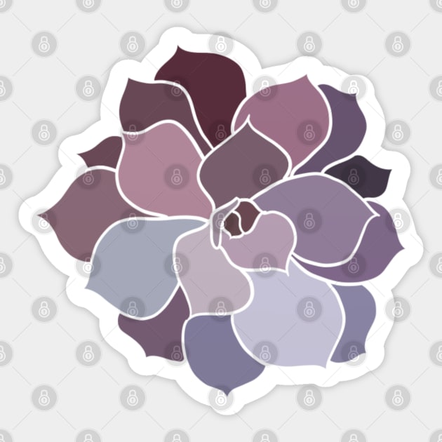 Echeveria // Perle Von Nurnberg V2 Sticker by Velvet Earth